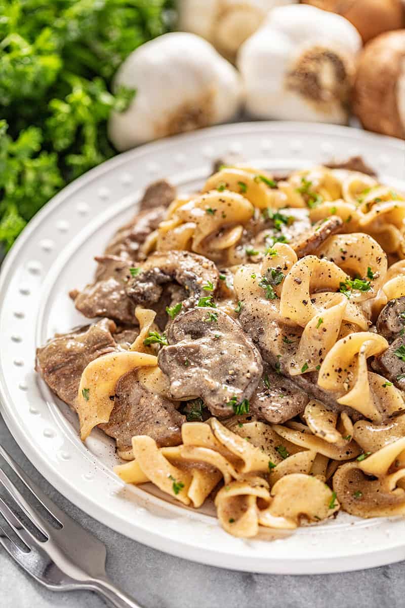 Beef stroganoff served over egg noodles on a white plate