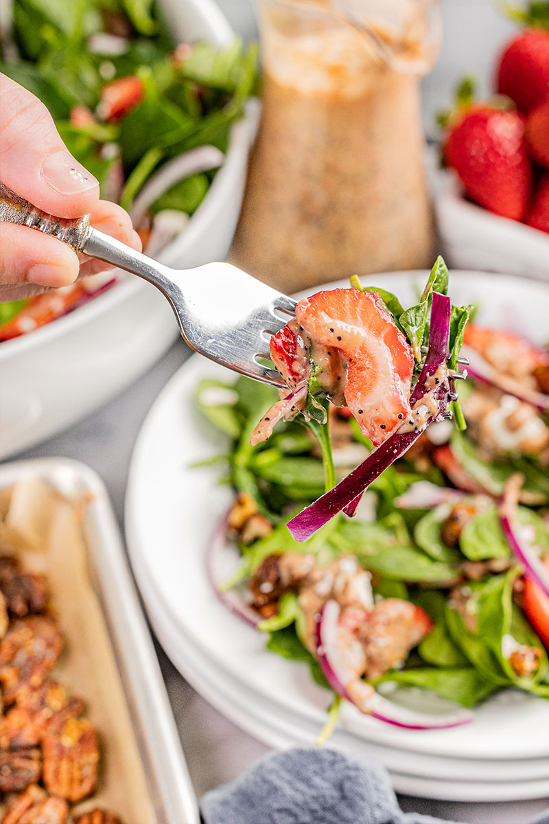 A forkful of strawberry spinach salad.